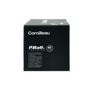 P-BALL ABS EVOLUTION 1 Orange X72