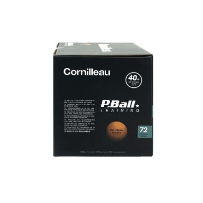 P-BALL ABS EVOLUTION 1 Orange X72