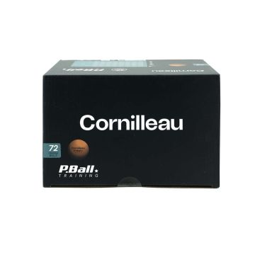 P-BALL ABS EVOLUTION 1 Orange X72