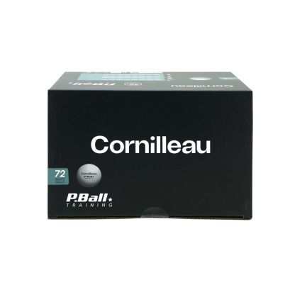 P-BALL ABS EVOLUTION 1 white X72