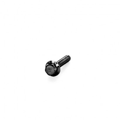 MTX vis THL Ø6x30 ZG 200 HBS